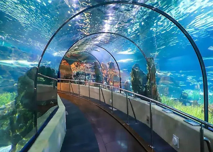 Studio-cabine 6 Couchages Cap-d'agde Agde