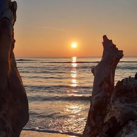 דירה Studio-cabine 6 Couchages Cap-d'agde