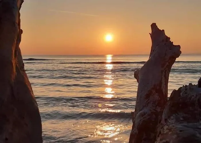 Appartement Studio-cabine 6 Couchages Cap-d'agde